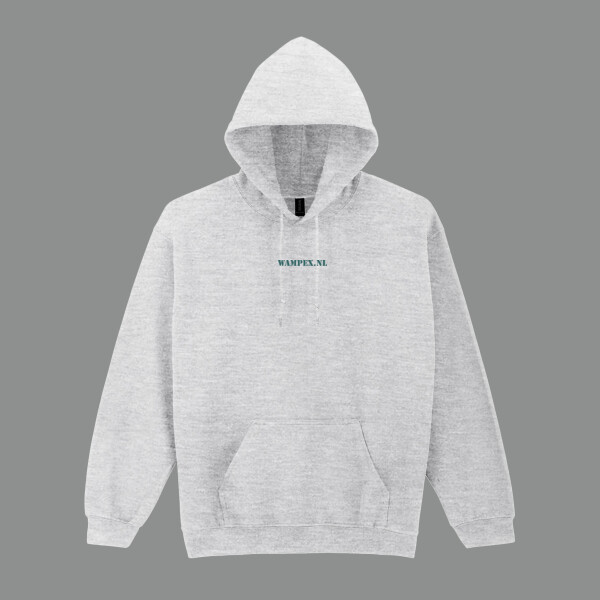 WAMPEX hoodie - grijs Thumbnail
